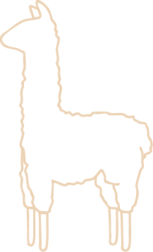 Vicuna Ruta del Telar